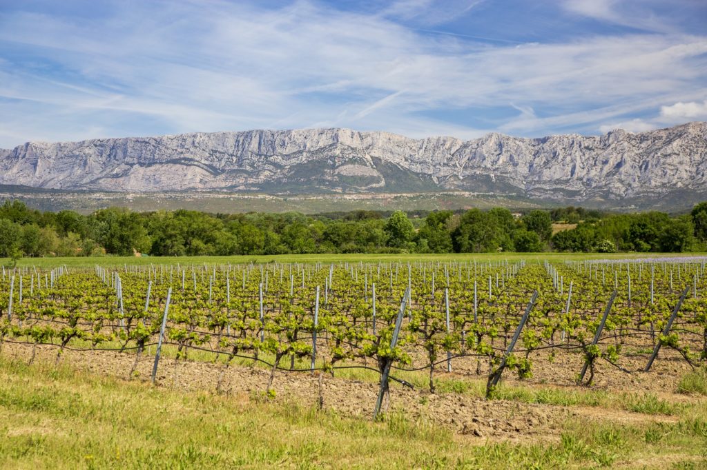 Región vinícola de Aix-en-Provence