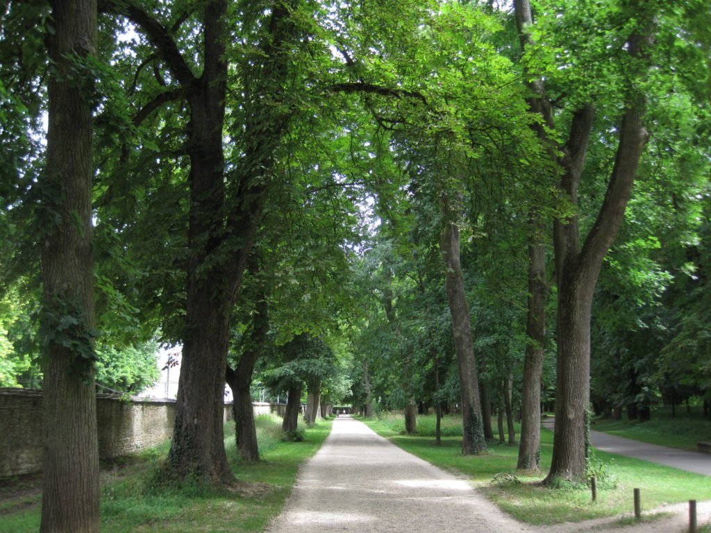 Parque Colombière Dijon
