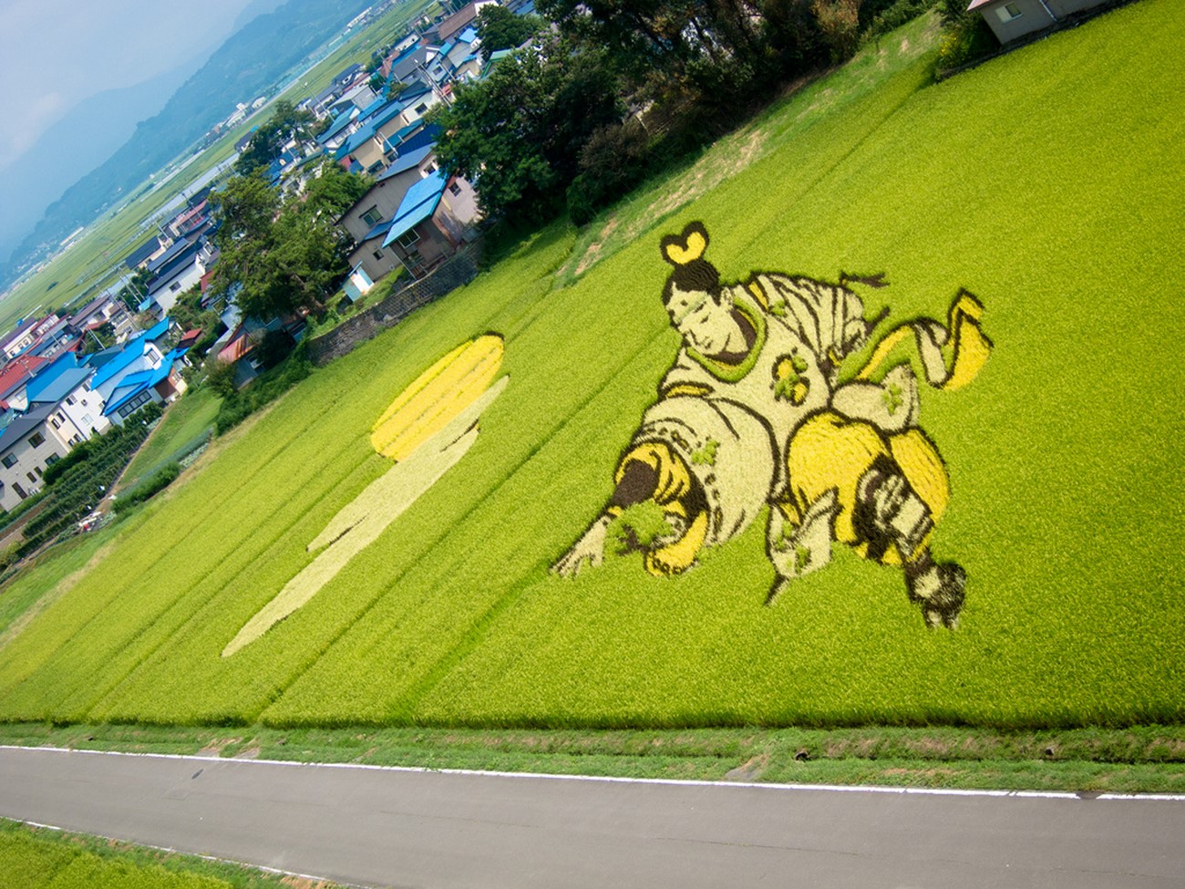 Tambo Arte o arte de los arrozales en Inakadate