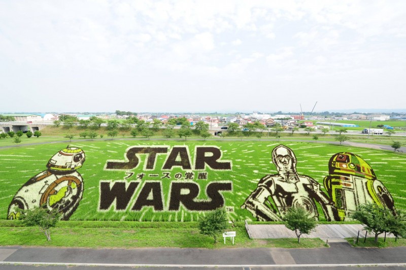 Tambo Art en homenaje a Star Wars en Inakadate