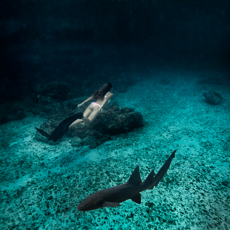 Sacha Kalis nada con tiburones en las Bahamas