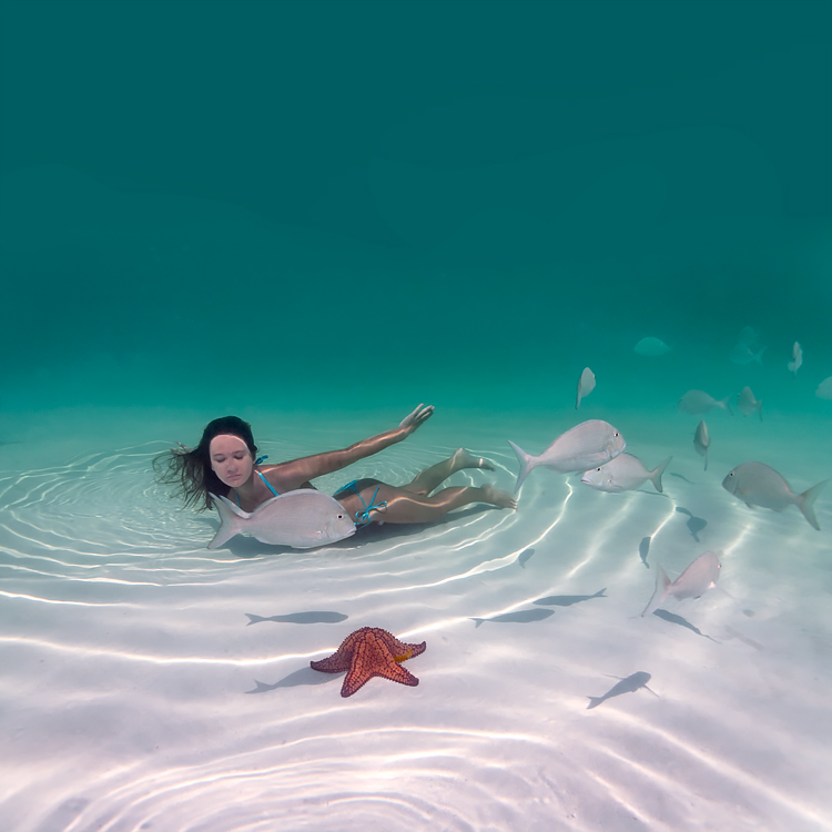 Las fotos submarinas más bellas de las Bahamas
