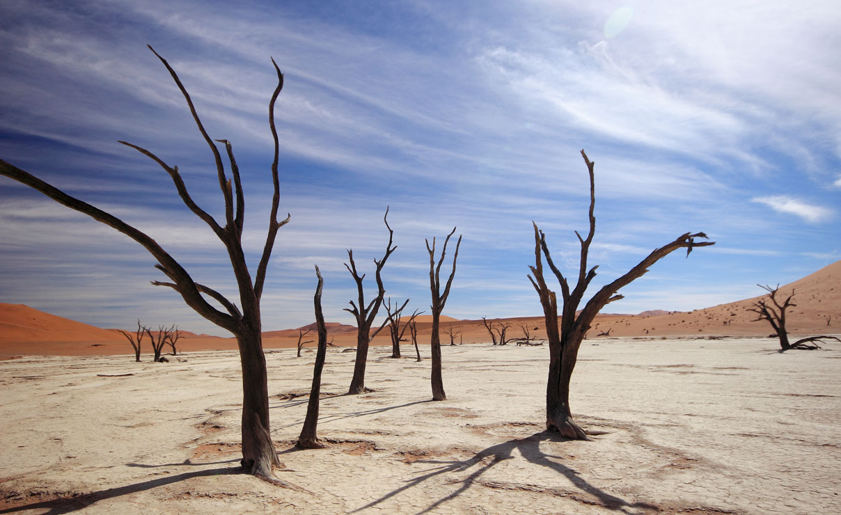 Namibia, entre sabanas e inmensos desiertos