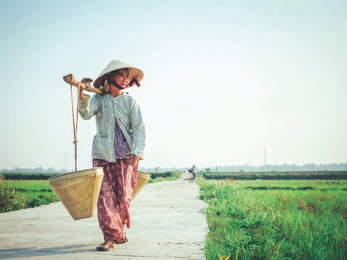 anciana caminando campos verdes vietnam