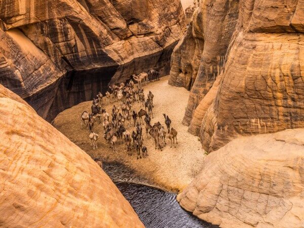 Guelta d'Archei Ennedi Chad