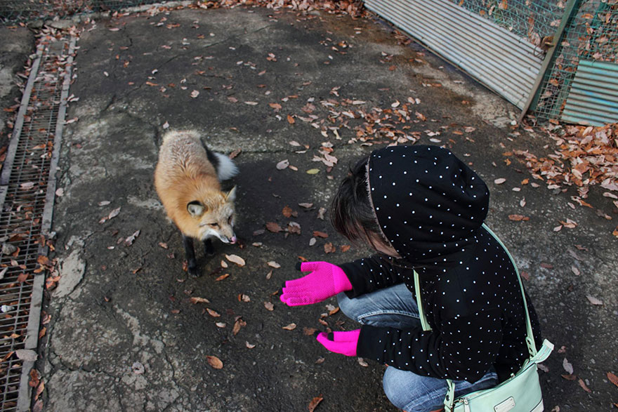 Zao Kitsune Mura, fox village Japón