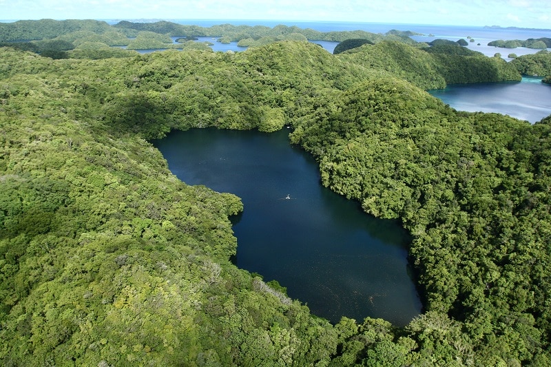 Lago de medusas en Palau
