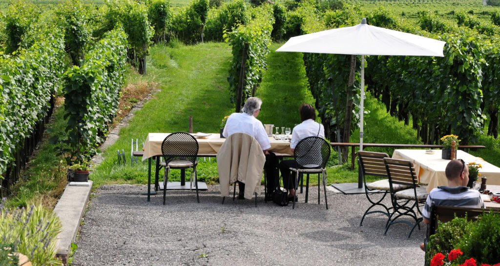 4 formas de descubrir viñedos en Francia con enoturismo