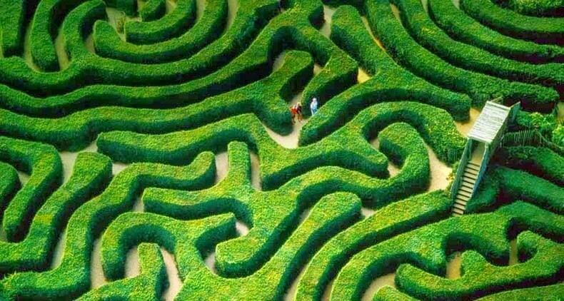 Longleat Hedge Maze, Longleat Maze