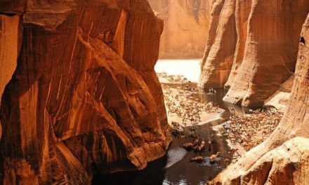 La Guelta d’Archei, un sorprendente oasis en Chad