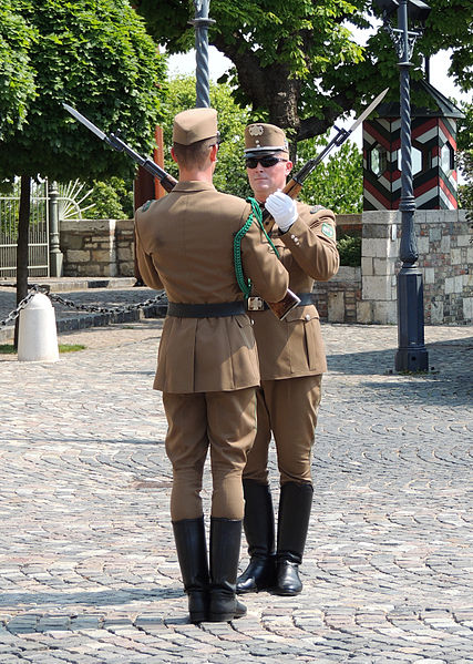 Cambio de Guardia frente al Palacio Sandor en Budapest