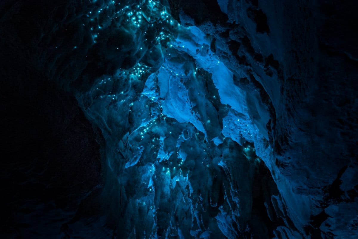 Waitomo Caves, Glowworms, Nueva Zelanda