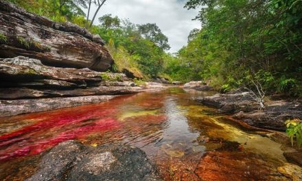 Caño Cristales, el “río de los 5 colores” de Colombia