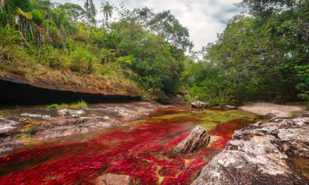 El suntuoso río Caño Cristales en el corazón de Colombia