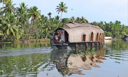 Kerala, un paraíso tropical en India