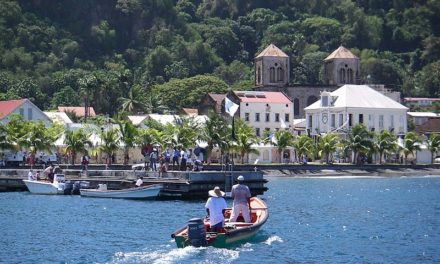 Martinica: 5 sitios que no debe perderse si vuela a Ile aux Fleurs