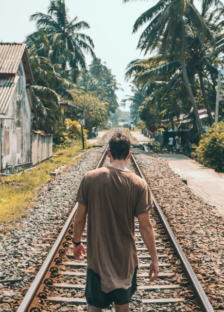 Sri Lanka: la experiencia mágica de viajar en tren por todo el país