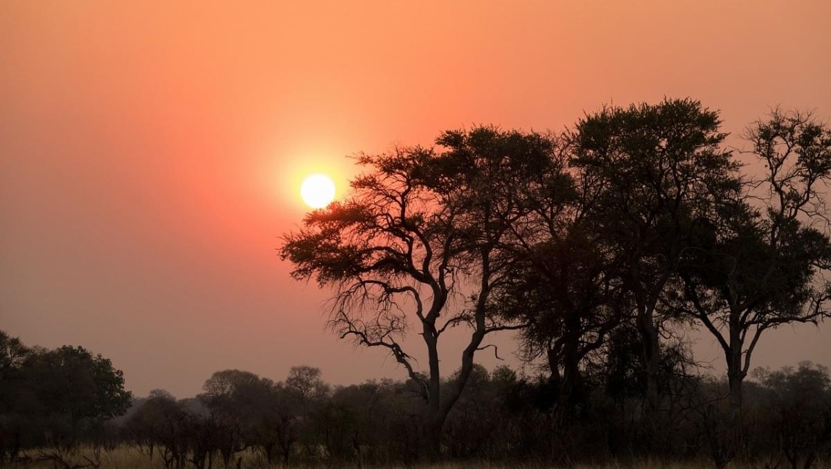 botswana, puesta de sol, fotos, de, naturaleza