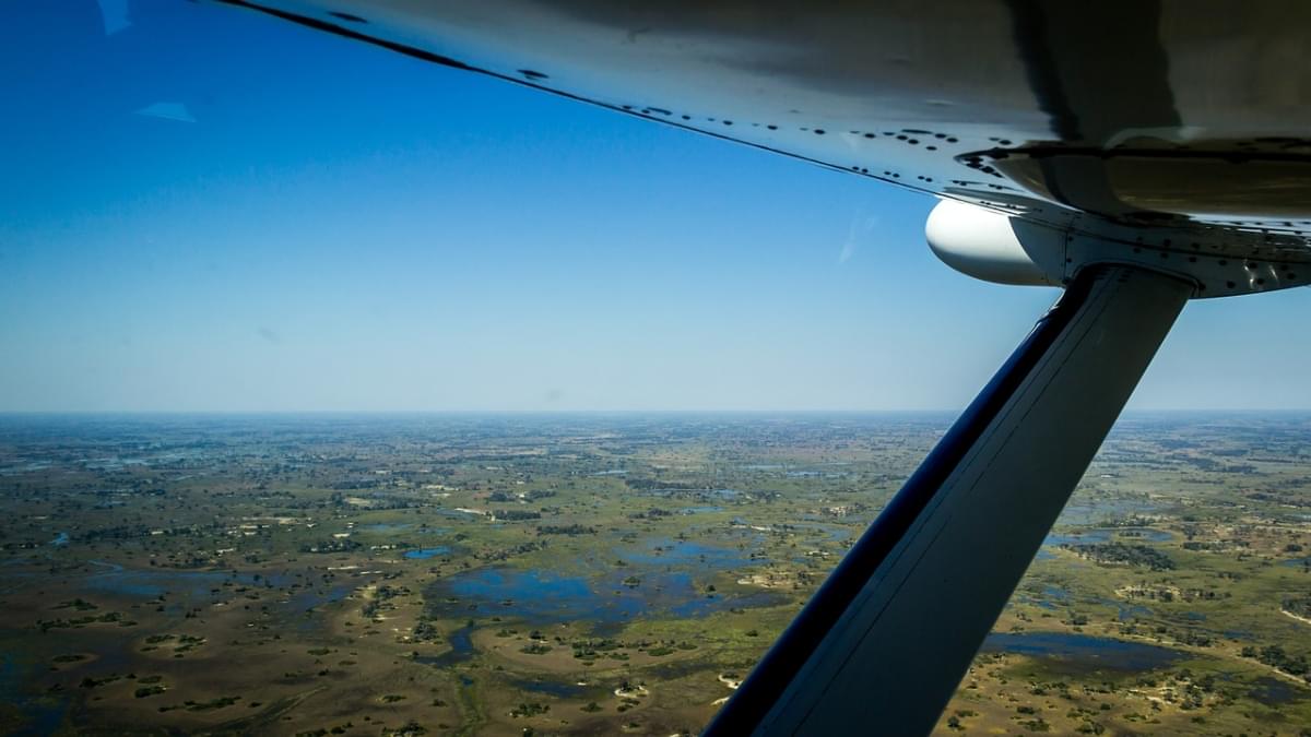 safari aéreo de botswana
