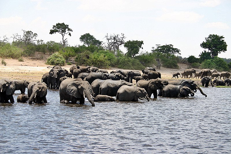 parque nacional zambezi