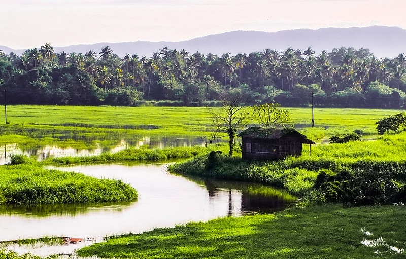 Canales de Kerala, India