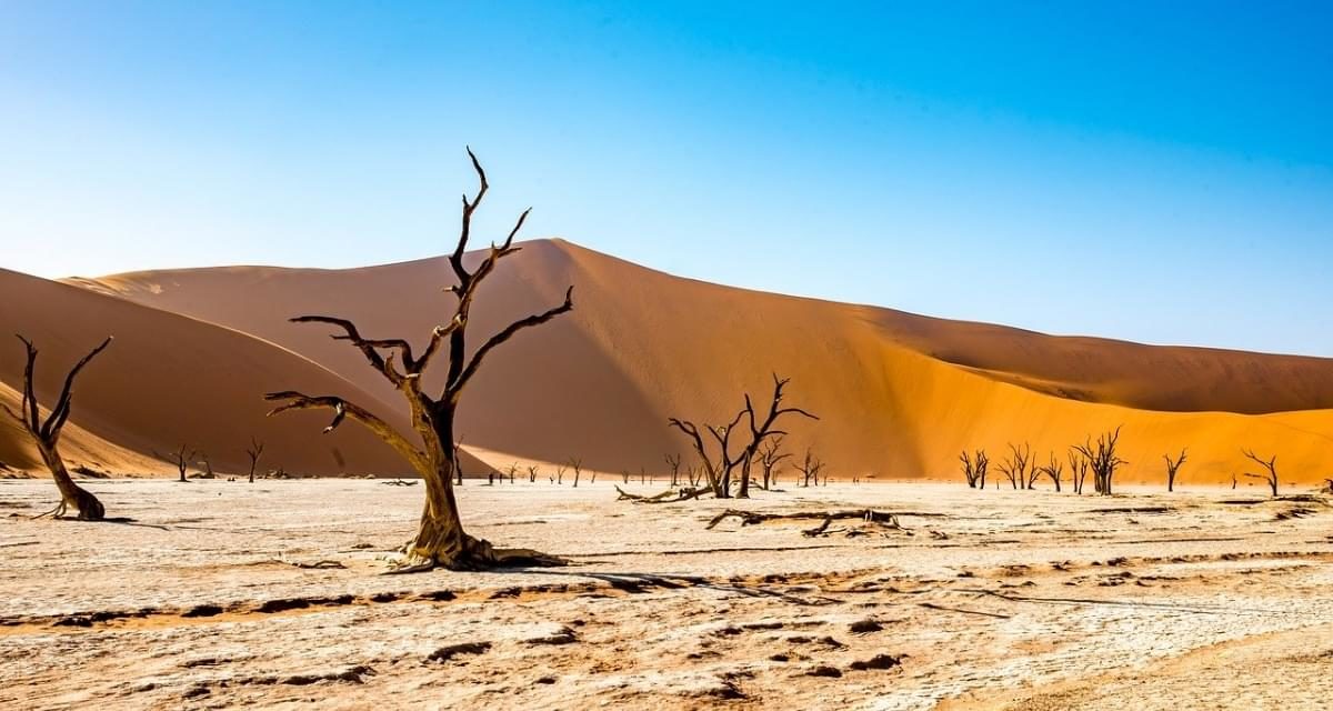 El mejor seguro de viaje de Namibia: costos y consejos