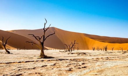 El mejor seguro de viaje de Namibia: costos y consejos