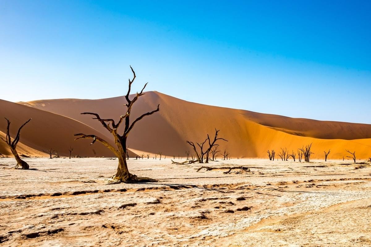 namibia deserto deadvlei