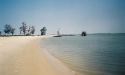 Las playas más bonitas de Senegal