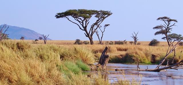 Parque Nacional del Serengeti, Tanzania: dónde está, cuándo ir y qué ver