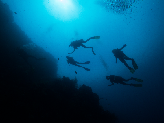 Cinco buceadores soplando burbujas de aire bajo el agua clara, una de las mejores cosas que hacer en Costa Rica