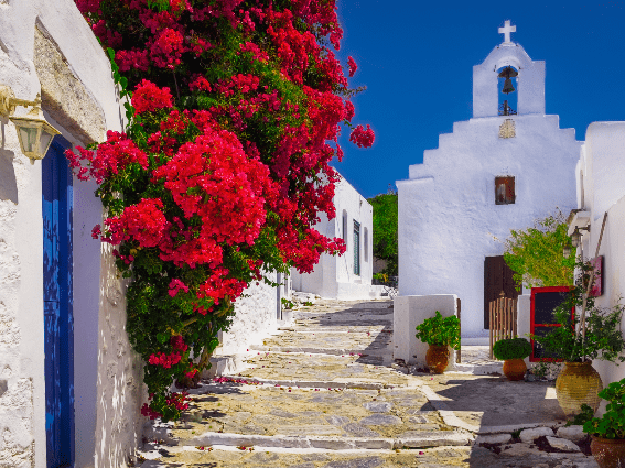 Flores rojas brillantes en una pared en un callejón y una pequeña capilla en una de las mejores islas de Grecia para visitar, la isla de Amorgos