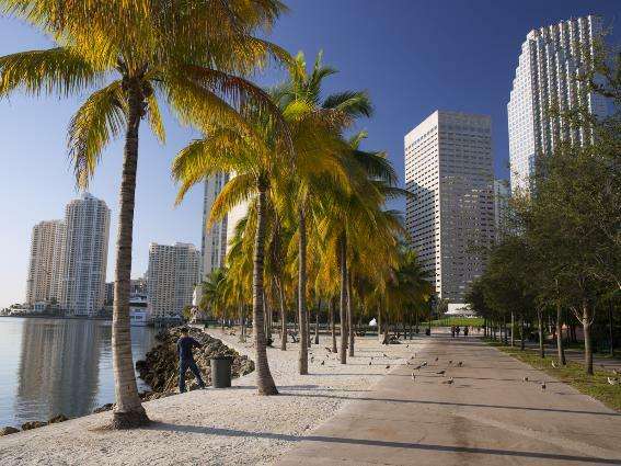 Foto del parque frente a la bahía, una de las mejores cosas que hacer en Miami