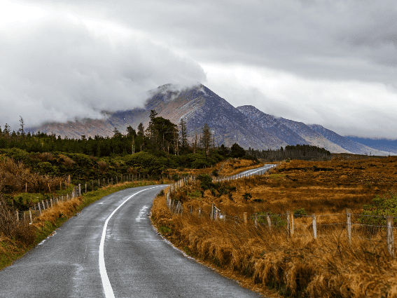 Hierba en otoño a lo largo de un camino sinuoso y cercado que conduce a un bosque de pinos al pie de las montañas de un pico brumoso en Connemara, conocido como uno de los mejores lugares para visitar en Irlanda