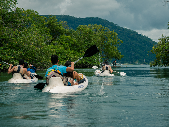 Parejas Haciendo Kayak en las verdes aguas del Mangroove de Golfito, una de las mejores cosas que hacer en Costa Rica