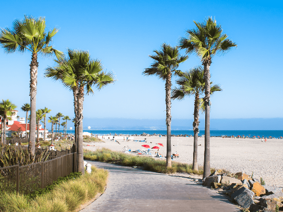 Playa y palmeras en una de las muchas playas de California, una de las mejores cosas que hacer en San Diego