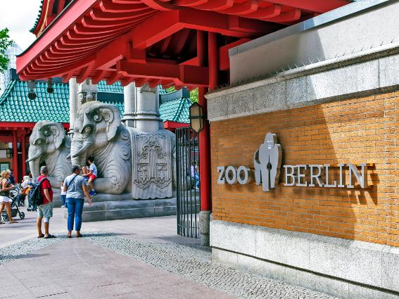 Zoo de Berlín, uno de los mejores zoológicos del mundo