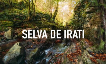 Explora la Selva de Irati: 8 Pueblos que Te Llevarán a su Interior