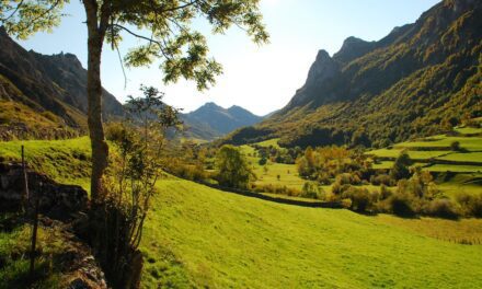Consejos para Vivir en Asturias: Ventajas y Desventajas de Esta Región Española