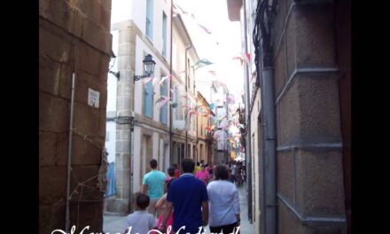 Explorando el Pasado Medieval de Ourense: Descubriendo el Encanto de Seixalbo