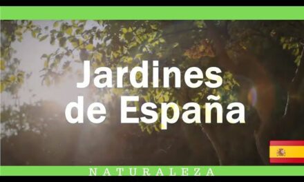 Descubre los 20 Jardines Más Hermosos de España Durante la Primavera – ¡No Te Los Pierdas!
