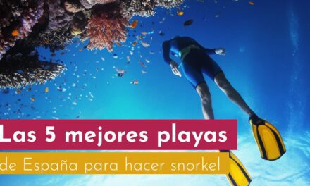 Las Mejores Calas y Playas para Bucear en Benidorm: Descubre las Mejores Experiencias Subacuáticas