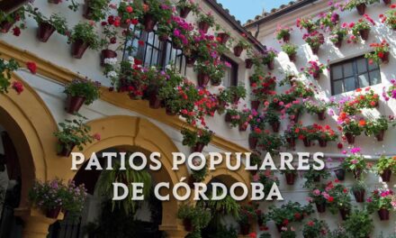 Organiza tu visita a los Patios de Córdoba: Descubre la Magia de sus Jardines